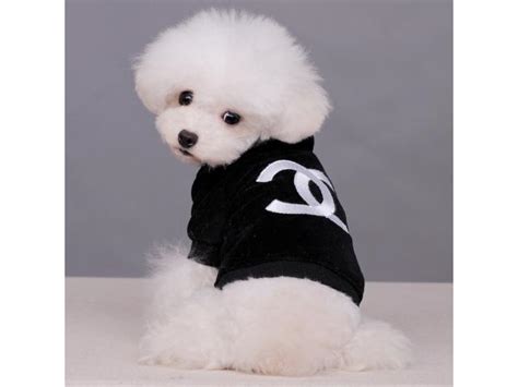 coco Chanel dog clothes